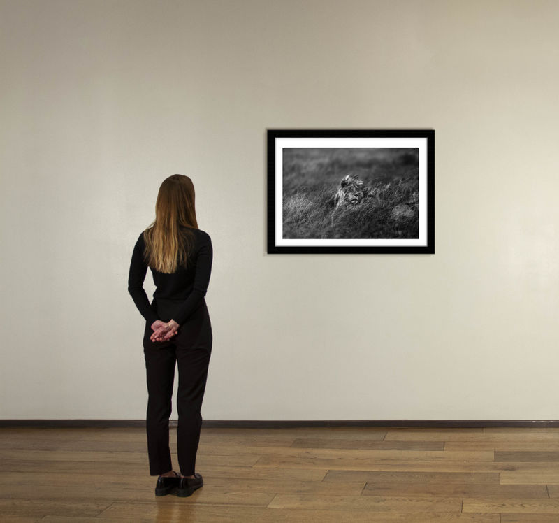 24 x 36 in., edition of 15